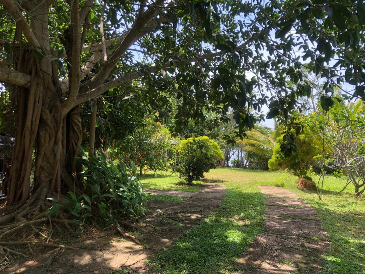 Thotupola Villa - Mirissa Exterior photo